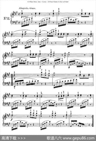 Czerny-24PianoStudie（8—16）（车尔尼-24首钢琴练习曲）|Czerny（车尔尼）