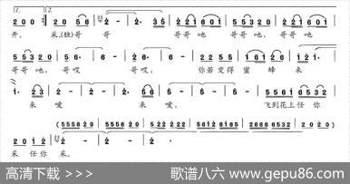 手攀槐花望郎来（女声独唱、男声伴唱）|高应智