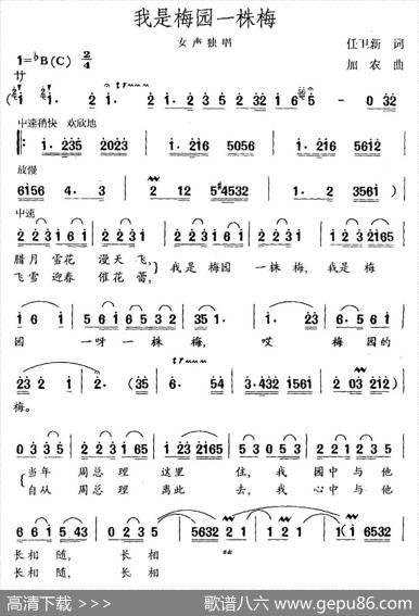 我是梅园一株梅 - 任卫新|加农