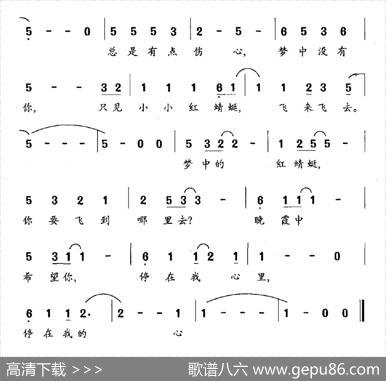 晚霞中的红蜻蜓 - 苏拉|许建强