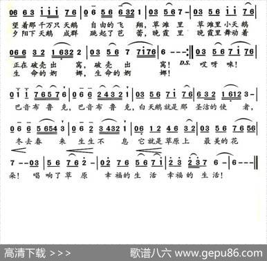 巴音布鲁克的白天鹅 - 季新山|齐从容