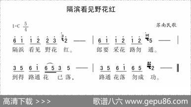 隔滨看见野花红
