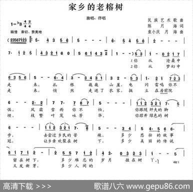 家乡的老榕树（独唱+伴唱） - 陈月海|袁小庆、月海