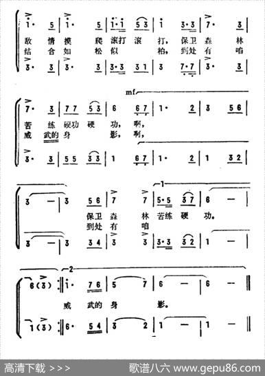 森林民兵 - 宋斌廷|崔义光