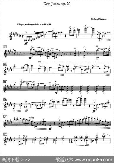 DonJuanOp.20（管弦乐选录·ARCT级）|理查德·施特劳斯