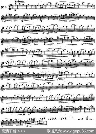 二十首练习曲作品131号（NO.3）|Garibold（加里波第）