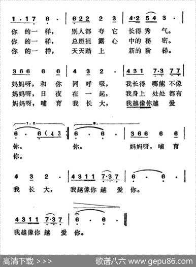 妈妈，我多像你 - 郑南|徐东蔚