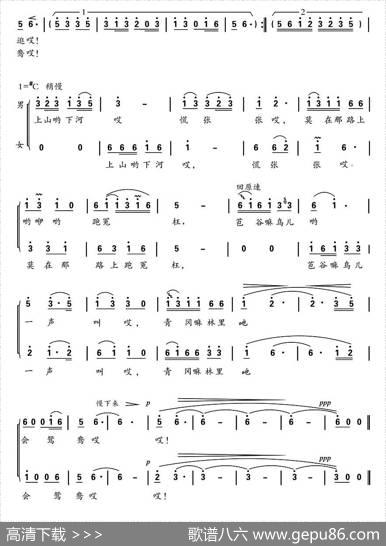 大河坝里棒槌响 - 杨涛|王安国