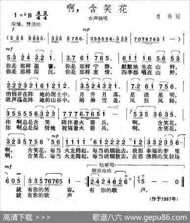 含笑花 - 肖伟