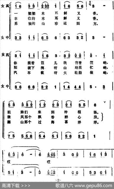 丰收的木耳鲜又香（女声小合唱） - 孟阳|陈根来
