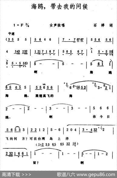 海鸥，带去我的问候 - 石祥|生茂