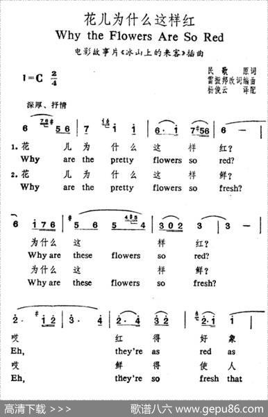 花儿为什么这样红（中英文对照）|雷振邦改词编曲、杨俊云1译配