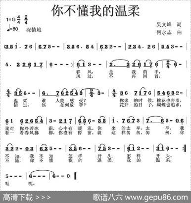 你不懂我的温柔 - 吴文峰|何永志