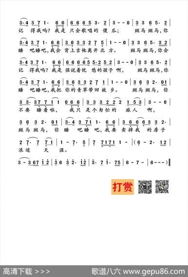 斑马斑马 - 宋冬野|宋冬野