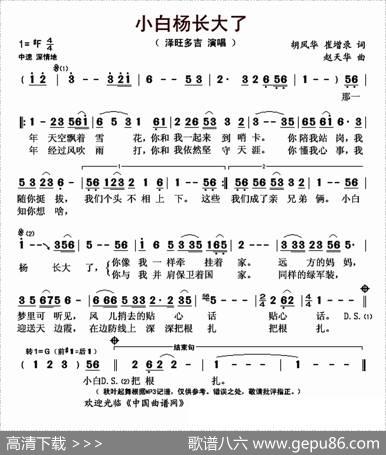 小白杨长大了 - 胡风华崔增录|赵天华