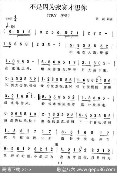 不是因为寂寞才想你 - 张超|张超