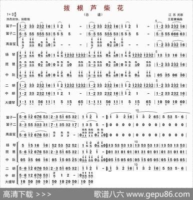 拔根芦柴花（总谱）|王爱康编曲