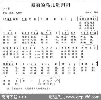 美丽的鸟儿归贵阳 - 高起植|高起植