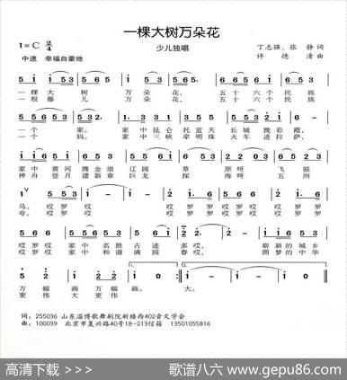 一棵大树万朵花 - 丁志强张静|许德清