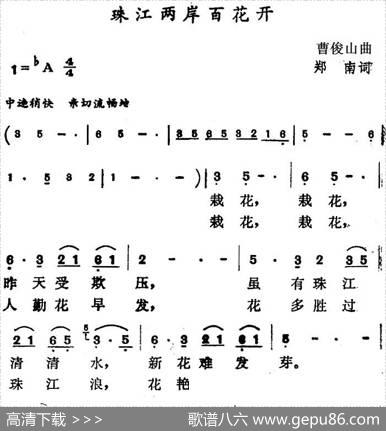珠江两岸百花开 - 郑南|曹俊山