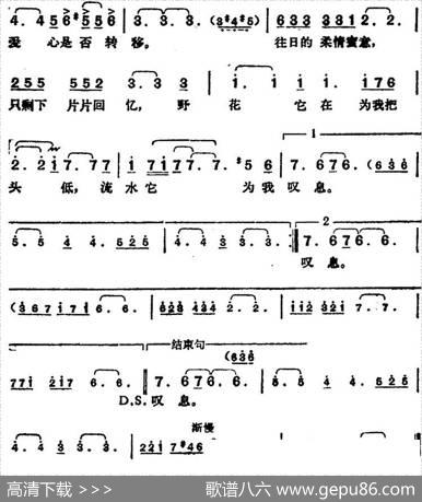 邓丽君演唱金曲：是否 - 林煌坤|猪俣公章