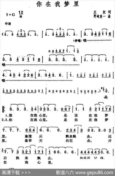 邓丽君演唱金曲：你在我梦里 - 庄奴|[日]野崎真一
