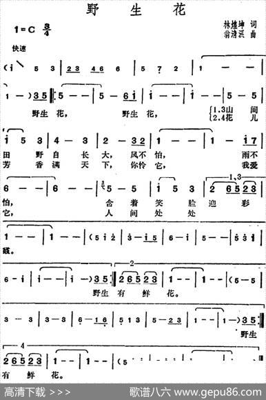 邓丽君演唱金曲：野生花 - 林煌坤|翁清溪