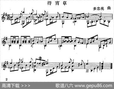 西班牙吉他独奏曲：待宵草|多忠亮