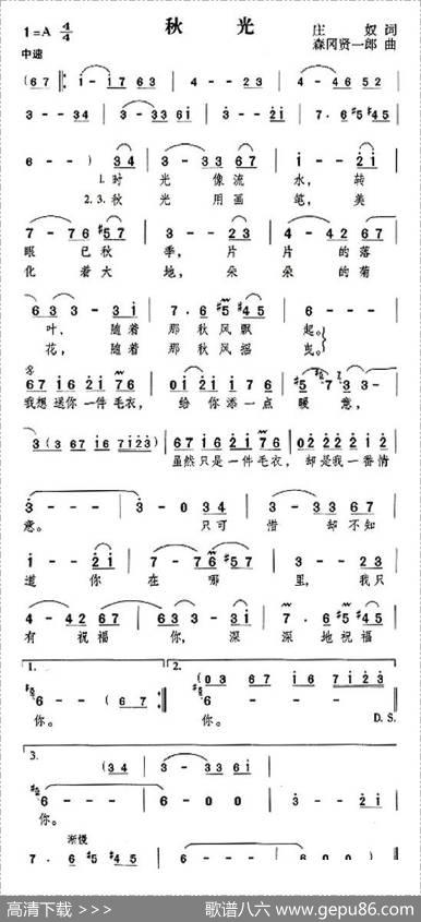 秋光