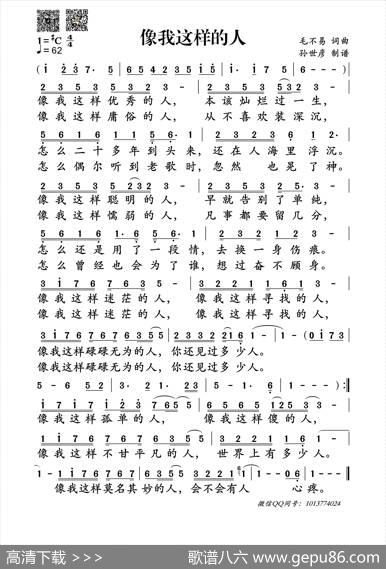 像我这样的人（毛不易词曲） - 毛不易|毛不易