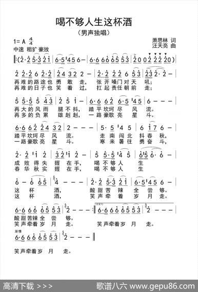 喝不够人生这杯酒（萧思林词汪天亮曲） - 萧思林|汪天亮