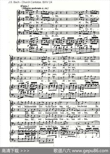 EinungefarbtGemute（一个未受玷污的人）