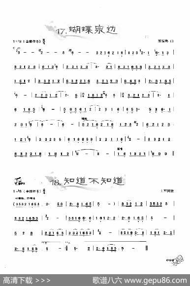葫芦丝曲精选：蝴蝶泉边知道不知道|王甲坤，王甲华编著