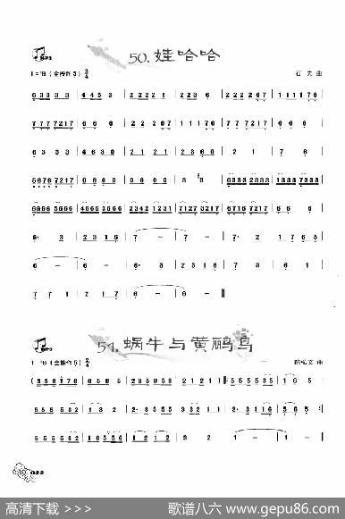 葫芦丝曲精选：娃哈哈我呢与黄鹂鸟|王甲坤，王甲华编著