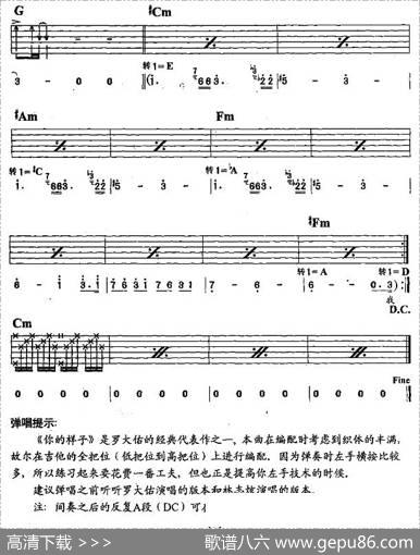 你的样子（李钢编配版） - 罗大佑|罗大佑