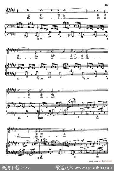 声乐教学曲库5-28小夜曲（正谱） - A·F·v·沙克|R·施特劳斯