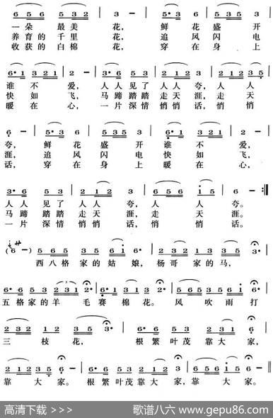 裕固族草原三枝花 - 多红斌|罗凌老傅