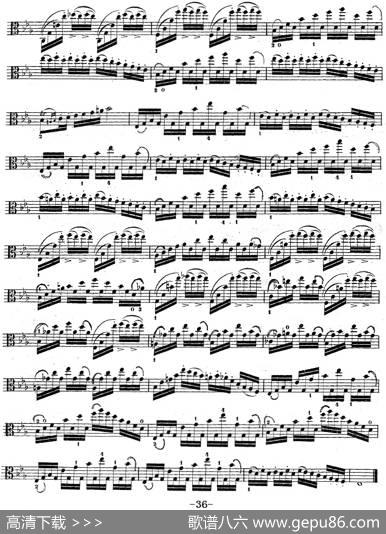 克莱采尔《中提琴练习曲40首》（ETUDE27-29）