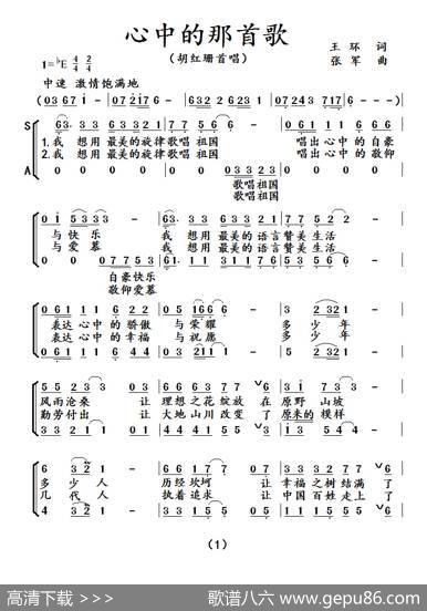 心中的那首歌 - 王环|张军