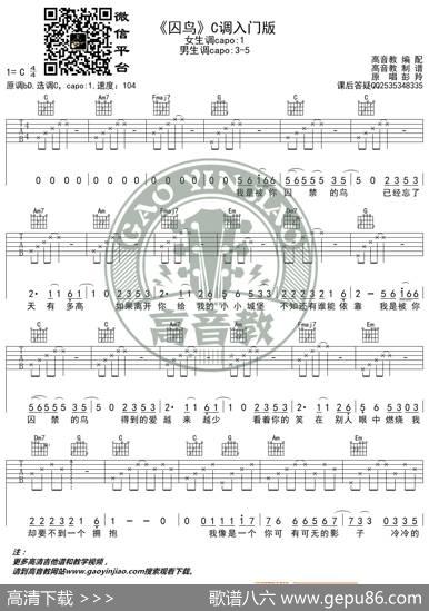 抖音热曲《囚鸟》吉他谱C调入门版猴哥吉他教学高音教编配