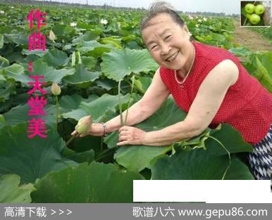 懂事的小孩【李秀梅教唱】（开花结果词天堂美曲） - 开花结果|天堂美