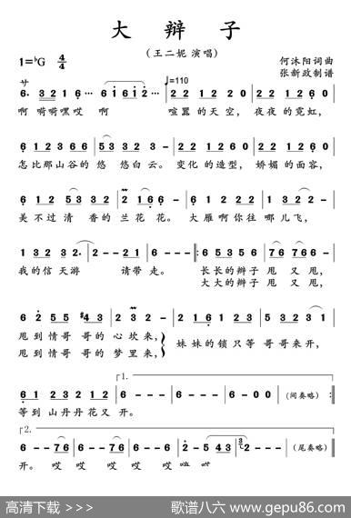 大辩子（王二妮演唱） - 何沐阳|何沐阳