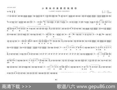小青妹你莫要把我埋怨（山东梆子《白蛇传》选段）