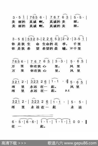 真诚的美丽（大字老人适用） - 朱泽君|印青