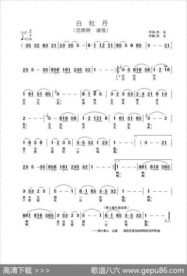 白牡丹