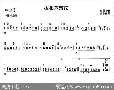 拔根芦柴花