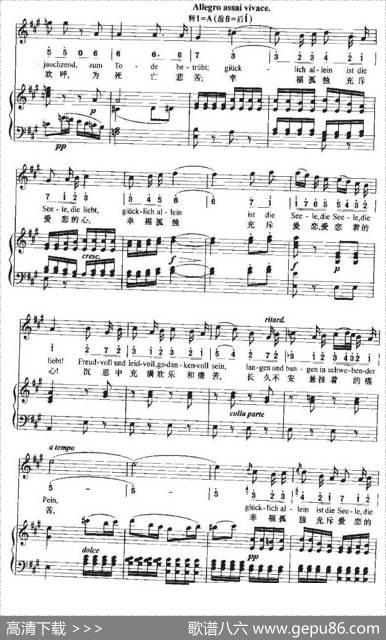 Freudvollundleidvoll（充满欢乐，充满痛苦）（中外文对照、正谱+简谱） - 歌德|贝多芬曲、周文楠译配