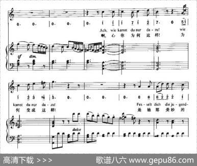 NeueLiebe，NeuesLeben（新的爱情，新的生活）（中外文对照、正谱+简谱） - 歌德|贝多芬曲、周文楠译配