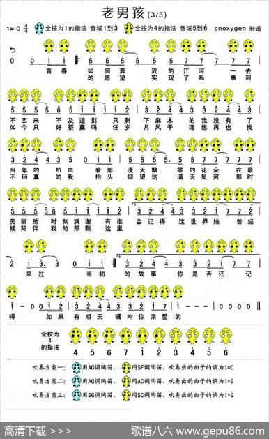 老男孩（六孔陶笛谱）