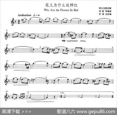 花儿为什么这样红
